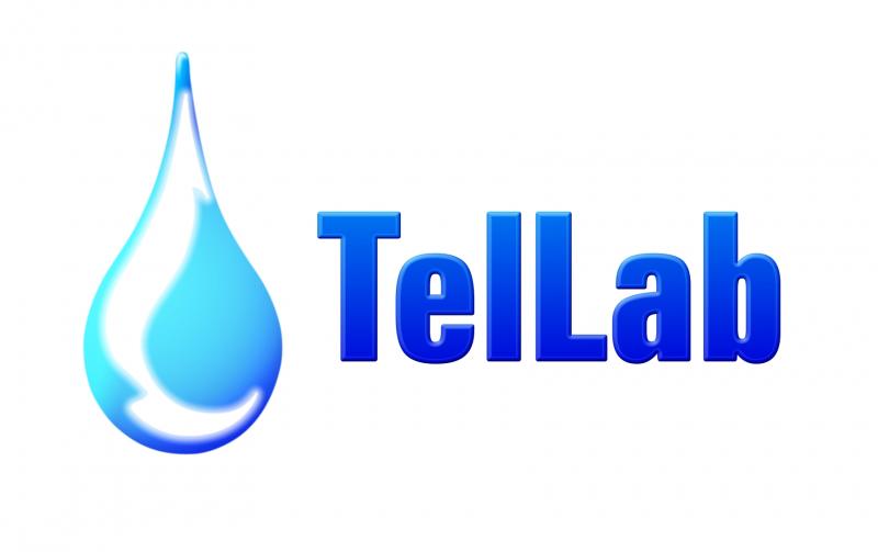 TE Labs logo